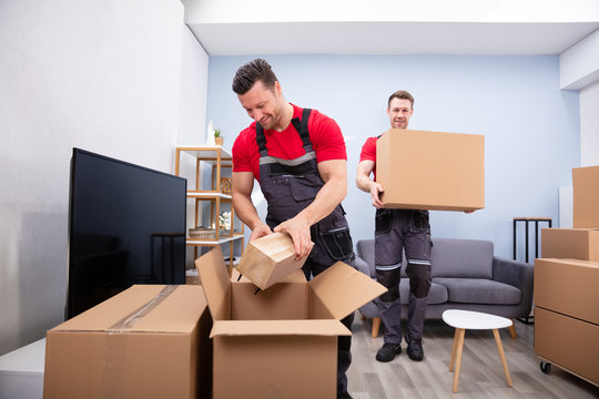 House Shifting Essence Packers and Movers Services